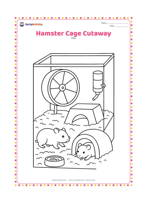 Colouring page: Show a roomy hamster habitat in a clear cutaway view with separate areas for deep bedding, a hideaway, exercise wheel, water bottle, food dish and tunnel. Place a hamster exploring the…