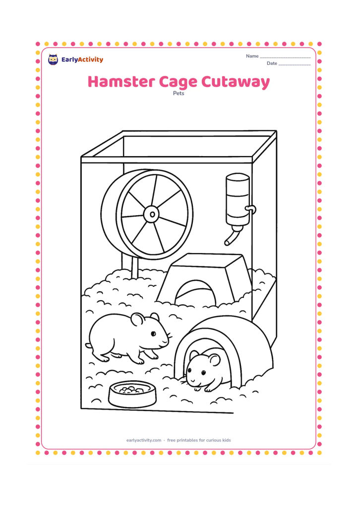 Colouring page: Show a roomy hamster habitat in a clear cutaway view with separate areas for deep bedding, a hideaway, exercise wheel, water bottle, food dish and tunnel. Place a hamster exploring the…