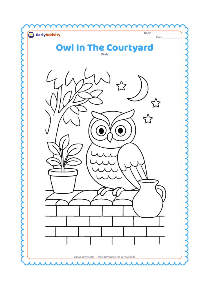 Colouring page: An owl sits on a clay-tiled courtyard wall near a potted plant, a water pot and a leafy tree, with an open evening sky behind it.