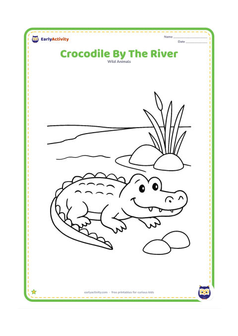 Colouring page: Draw one friendly crocodile resting beside a wide river, with a simple curved shoreline, two large rocks, and a few broad reeds. Keep the crocodile's body large and fully visible in the…