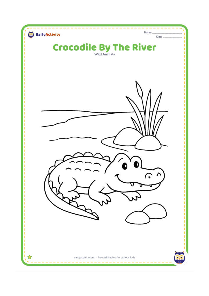 Colouring page: Draw one friendly crocodile resting beside a wide river, with a simple curved shoreline, two large rocks, and a few broad reeds. Keep the crocodile's body large and fully visible in the…