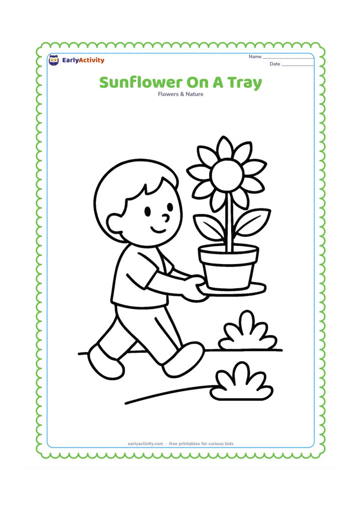 Colouring page: A child carries a tray with a single potted sunflower, walking along a simple path beside two low garden plants. Show the flower, pot, leaves, and tray clearly.