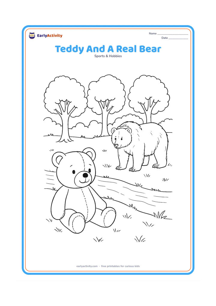 Colouring page: A smiling teddy bear sits on one side of a meadow while a calm real bear stands far away on the other side, separated by a low stream and trees. Show the teddy as soft and stitched, and…