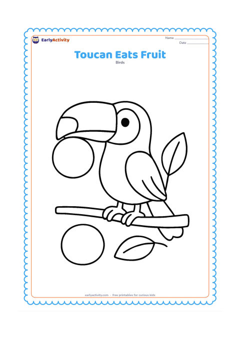 Colouring page: A toucan holds a large round fruit in the tip of its bill while standing on a low branch. Add one large leaf and a second fruit on the ground, with no small background objects.