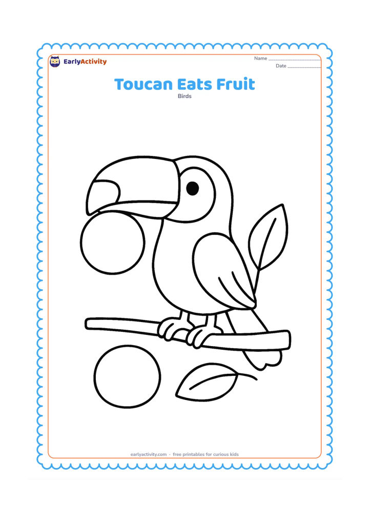 Colouring page: A toucan holds a large round fruit in the tip of its bill while standing on a low branch. Add one large leaf and a second fruit on the ground, with no small background objects.