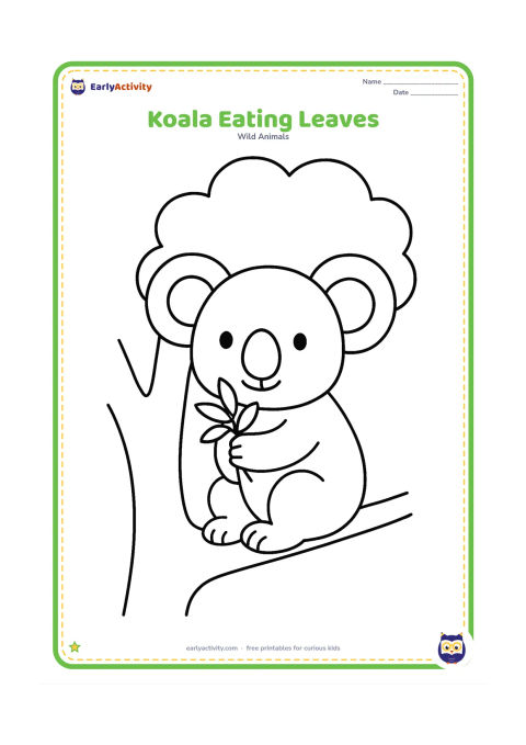 Colouring page: Draw a koala sitting on a low branch and holding a small bunch of eucalyptus leaves near its large nose. Add one simple tree trunk and a rounded leafy canopy.