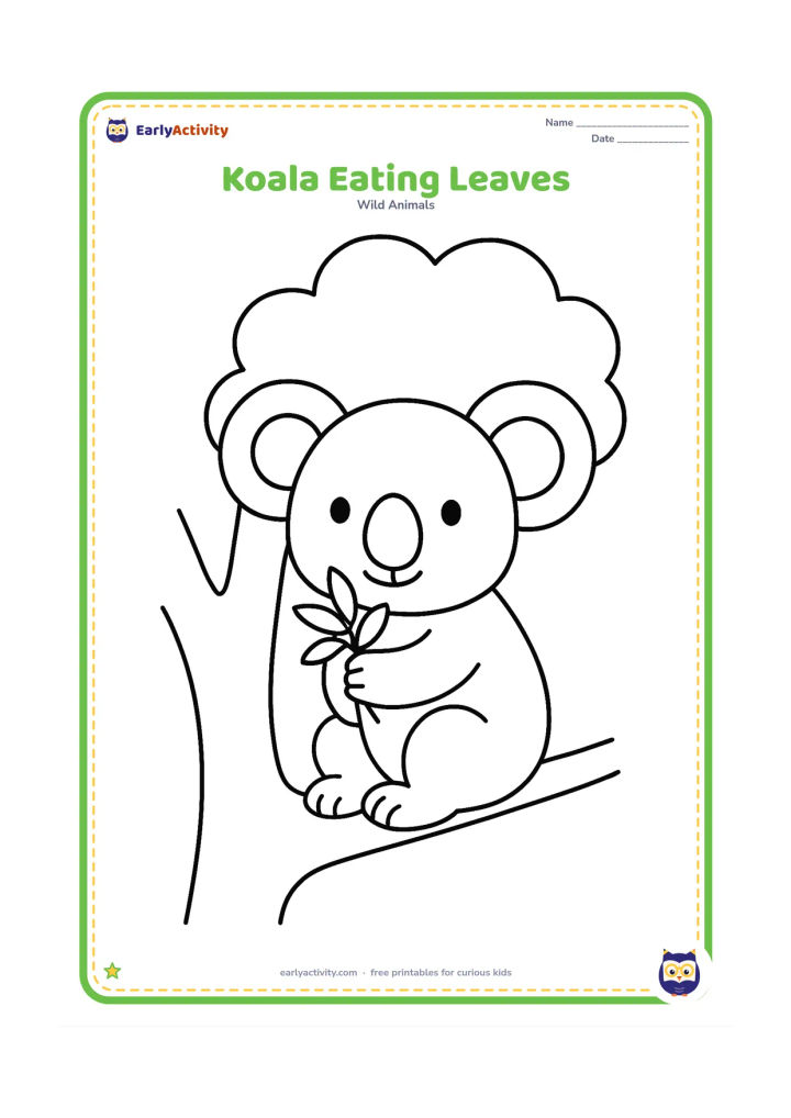 Colouring page: Draw a koala sitting on a low branch and holding a small bunch of eucalyptus leaves near its large nose. Add one simple tree trunk and a rounded leafy canopy.
