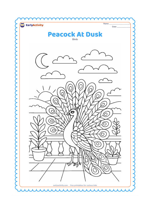 Colouring page: A peacock stands on a garden terrace at dusk with a setting sun, crescent moon, patterned clouds, potted plants, and a distant city-free landscape. His open train contains repeated…