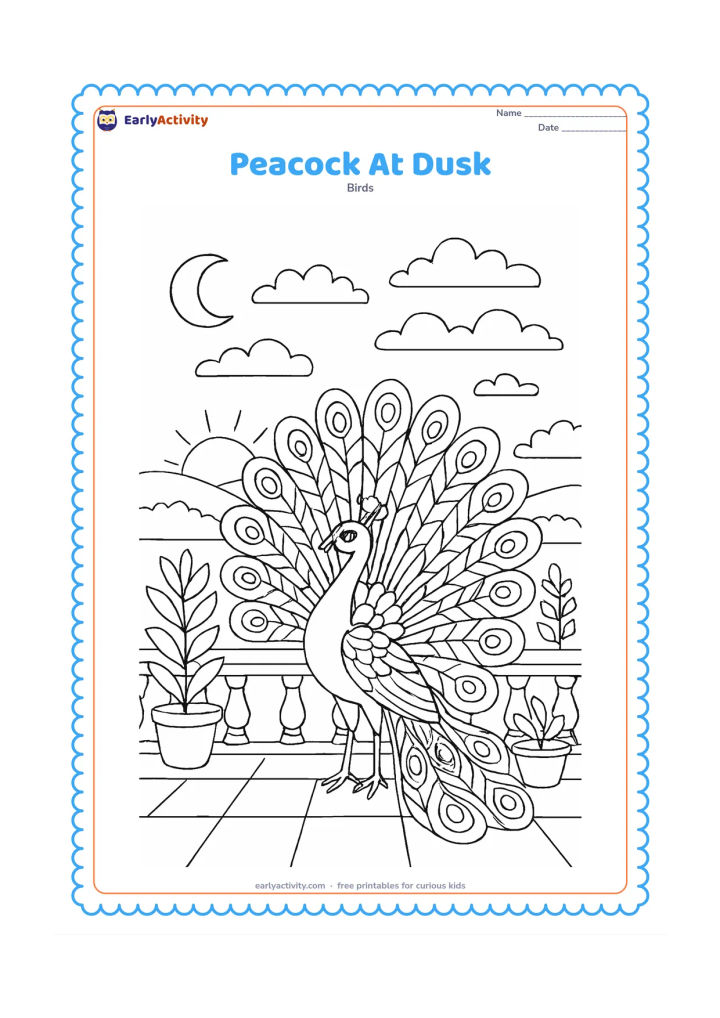 Colouring page: A peacock stands on a garden terrace at dusk with a setting sun, crescent moon, patterned clouds, potted plants, and a distant city-free landscape. His open train contains repeated…
