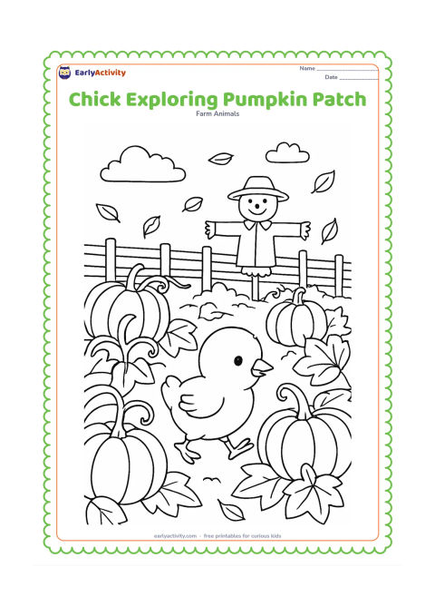 Colouring page: Draw a chick walking between large pumpkin vines and leaves in an autumn farm patch. Include pumpkins of several sizes, a scarecrow with a plain hat, a wooden fence, and falling leaves.