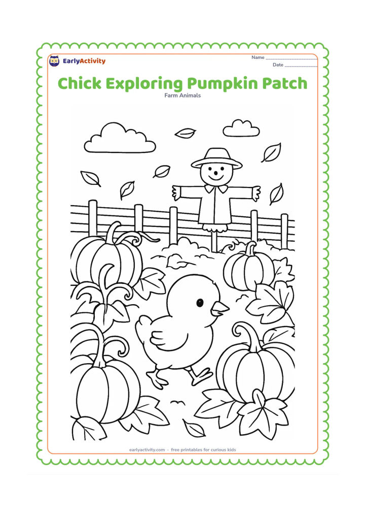 Colouring page: Draw a chick walking between large pumpkin vines and leaves in an autumn farm patch. Include pumpkins of several sizes, a scarecrow with a plain hat, a wooden fence, and falling leaves.