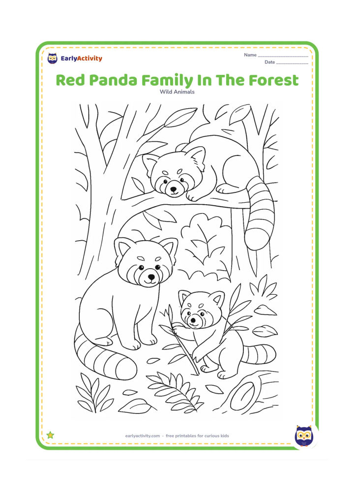 Colouring page: Draw two adult red pandas and one cub together in a leafy forest clearing, with one adult standing, one resting on a branch and the cub reaching toward bamboo. Add layered trees, fallen…