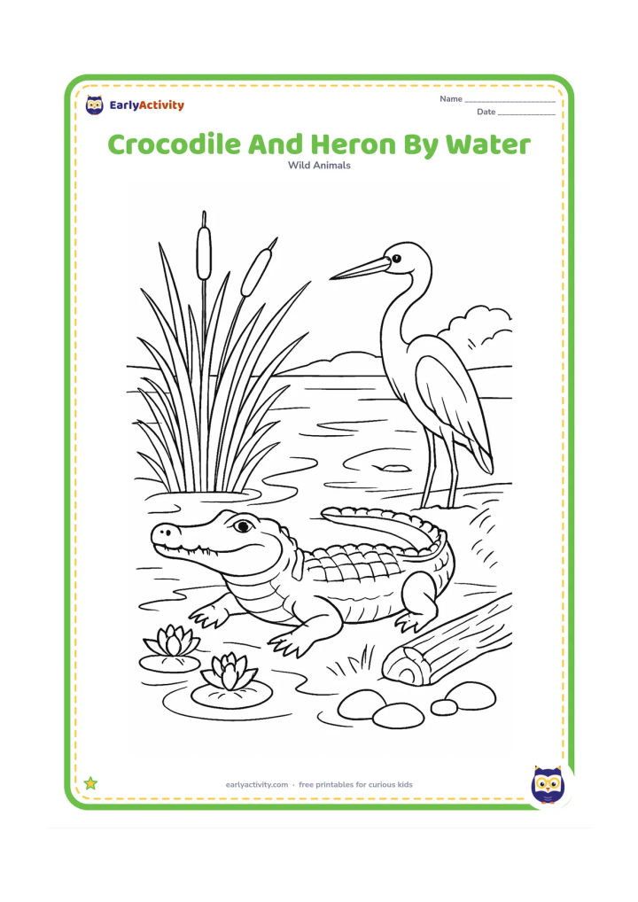 Colouring page: Draw a crocodile resting at the edge of a river while a heron stands nearby, with detailed reeds, water lilies, smooth stones, a fallen log, and a distant riverbank. Keep the animals…