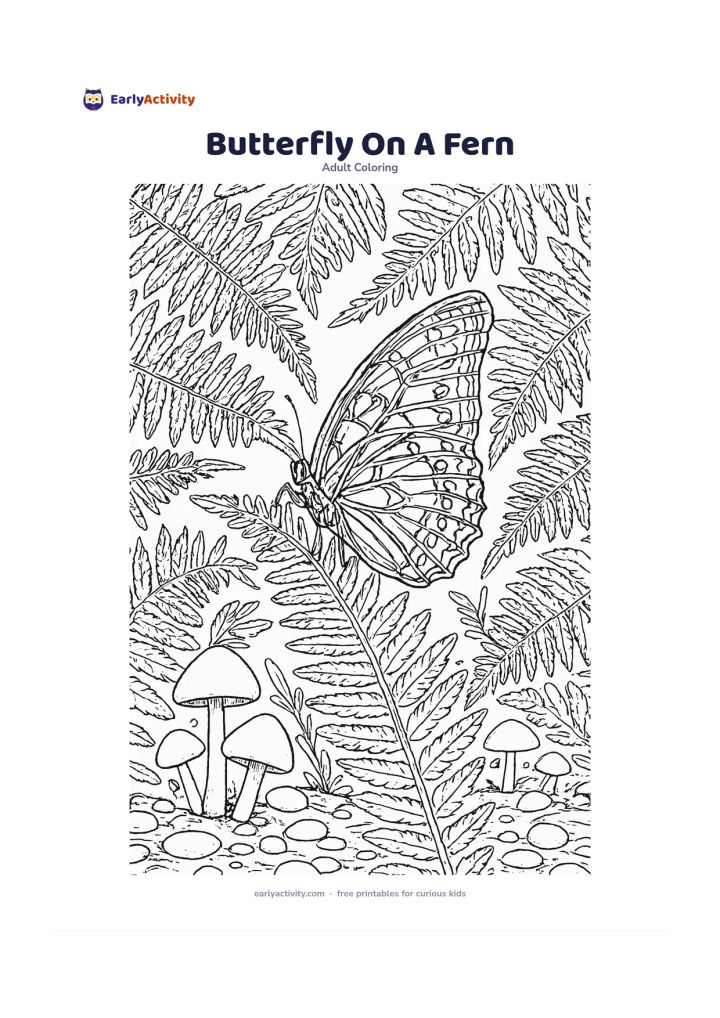 Colouring page: Place a butterfly with folded side-view wings on a fern frond, surrounded by overlapping fern leaves, small mushrooms, and pebbles on a woodland floor. Show the visible wing with…
