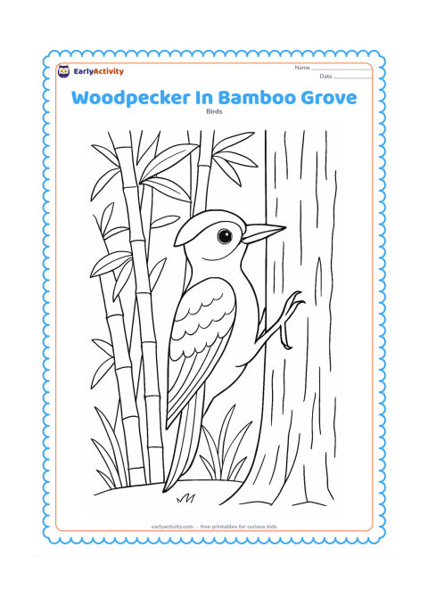 Colouring page: A woodpecker clings to a tree at the edge of an Indian bamboo grove. Show tall bamboo stems, broad leaves, a few grasses and the bird pecking at bark.