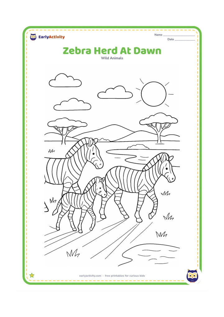 Colouring page: Three zebras move through a broad enclosure at dawn, with one foal walking between two adults. Add long shadows, a waterhole, acacia-like trees and distant hills.