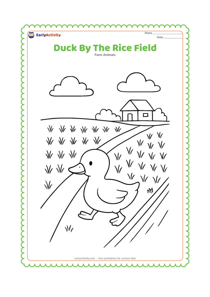 Colouring page: A duck walks along a narrow path beside an Indian rice field, with neat rows of young plants and a small irrigation channel. Add a distant farmhouse and a few clouds.