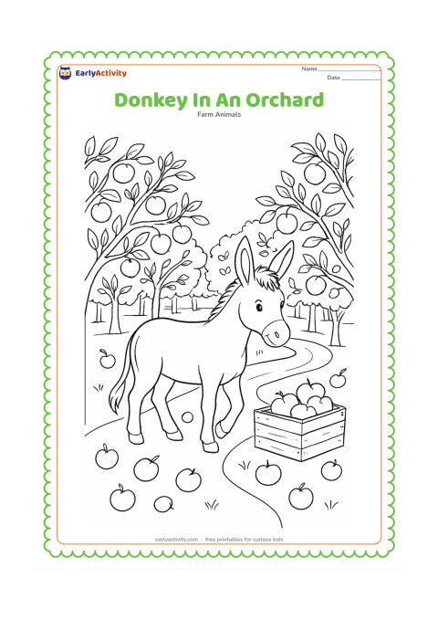Colouring page: A donkey walks between rows of fruit trees in an orchard, with fallen fruit, a wooden crate and a winding path around its hooves. Show branches, leaves and fruit in varied but open clusters.