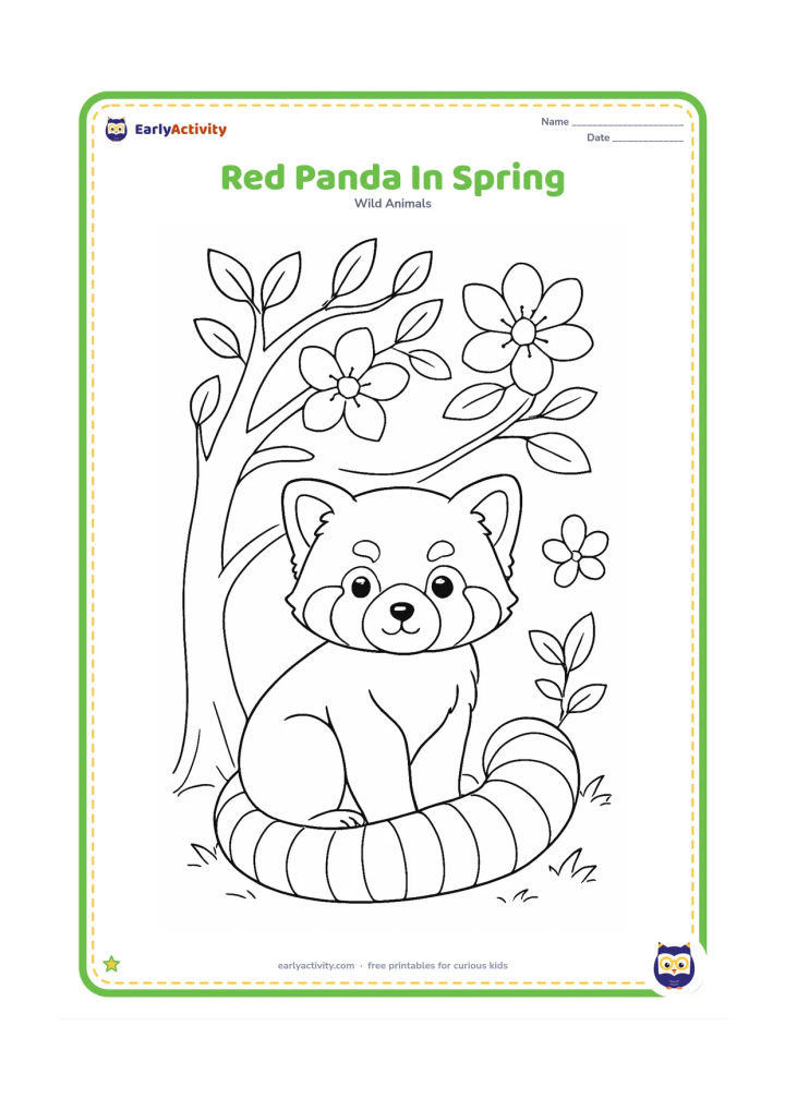 Colouring page: Draw a red panda sitting beneath a tree with fresh leaves and a few large spring blossoms. Its ringed tail should curl around its feet, with a gentle forest floor below.