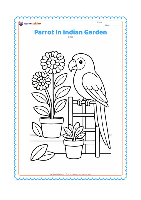 Colouring page: Draw a parrot perched on a garden trellis beside large marigold flowers, potted plants, and a simple low wall. Include a few broad leaves and a clear side view of the bird.