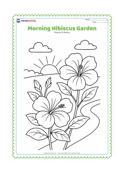 Colouring page: Draw two hibiscus plants in a garden at morning, with open blooms, buds, leaves, a rising sun, and a few simple cloud shapes. Include a curved garden path behind the plants.
