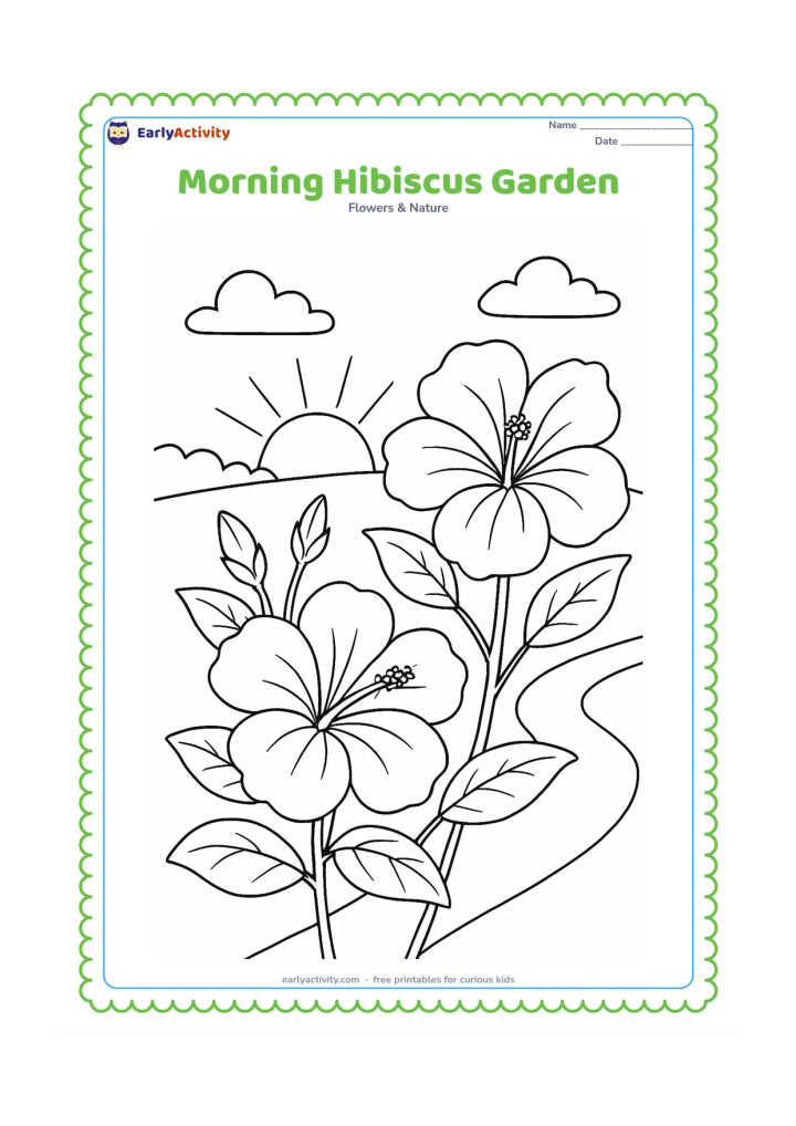 Colouring page: Draw two hibiscus plants in a garden at morning, with open blooms, buds, leaves, a rising sun, and a few simple cloud shapes. Include a curved garden path behind the plants.