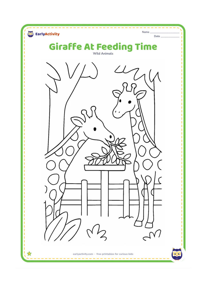 Colouring page: A giraffe bends its long neck toward a raised feeding platform with leafy branches, while a second giraffe watches behind it. Include a sturdy fence, tree trunks and several large leaves.
