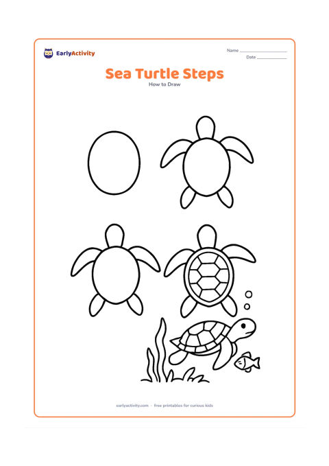 Worksheet: Arrange four connected stages showing a sea turtle built from a shell oval, head and four long flippers, ending with the turtle swimming above seaweed. Add bubbles and a small fish in…