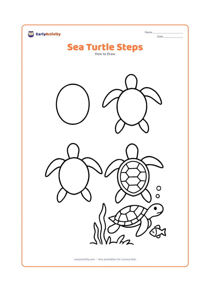 Worksheet: Arrange four connected stages showing a sea turtle built from a shell oval, head and four long flippers, ending with the turtle swimming above seaweed. Add bubbles and a small fish in…