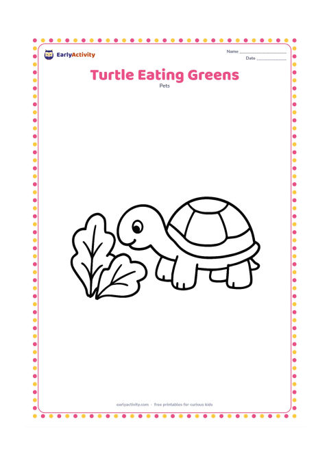 Colouring page: A pet turtle stretches its head toward two large leafy greens placed on the ground. Show the shell, legs and little beak-like mouth clearly in a simple side view.