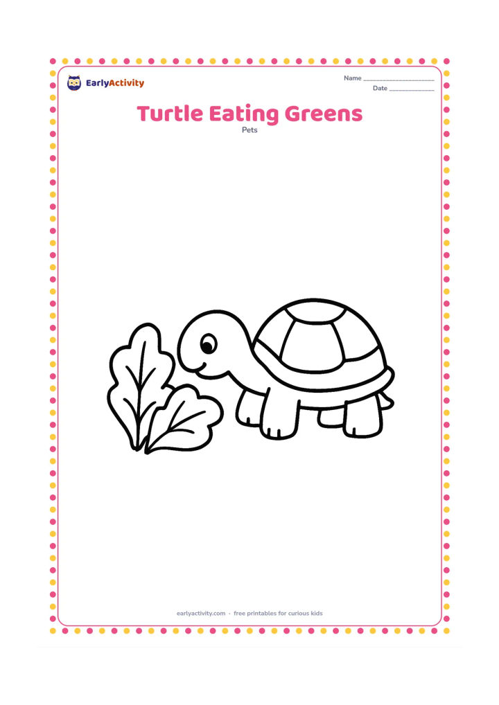 Colouring page: A pet turtle stretches its head toward two large leafy greens placed on the ground. Show the shell, legs and little beak-like mouth clearly in a simple side view.