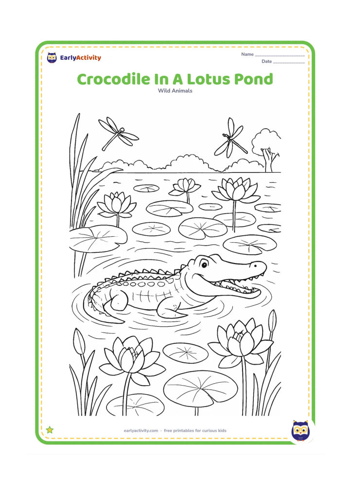 Colouring page: Draw a crocodile gliding through an Indian lotus pond with overlapping lotus leaves, open flowers, stems beneath the water, reeds, dragonflies, and a distant tree line. Show gentle…