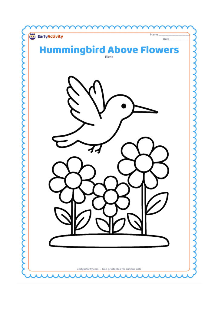 Colouring page: A hummingbird hovers over three large flowers in a small flower bed, with its wings raised and feet lifted away from the plants. Include a simple ground line.