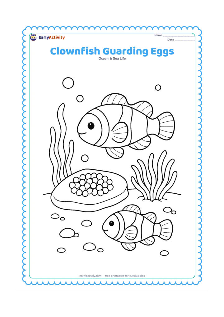 Colouring page: Show a clownfish hovering beside a neat cluster of round eggs attached to a flat rock near its sea anemone. Add bubbles, seaweed, small pebbles, and a second clownfish watching nearby.