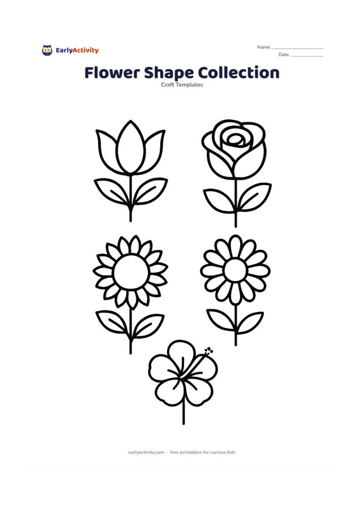 Worksheet: A neat collection of five distinct flower outlines: lotus, rose, sunflower, daisy and hibiscus, arranged in two rows with enough space between them. Show each flower with a short stem…