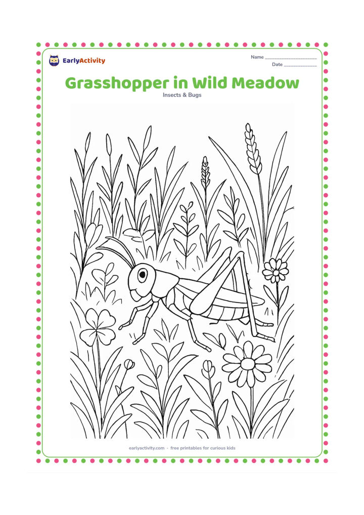 Colouring page: Draw a grasshopper climbing through a detailed meadow of grasses, clover, daisies, seed heads, and small leaves, with layered plants extending into the distance.