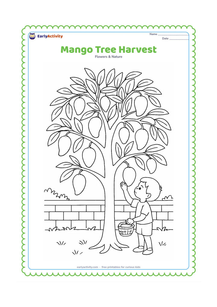 Colouring page: Draw a mature mango tree with branching limbs and several hanging mangoes while a child carefully reaches toward one low fruit using a small basket. Place the tree in a simple Indian…