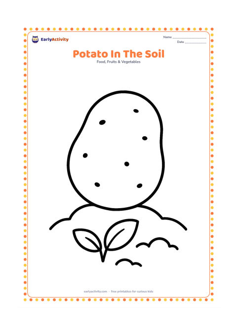 Colouring page: Show one large potato partly above a simple mound of soil, with two short leaves nearby to suggest an underground root vegetable. Use a wide, open ground area.