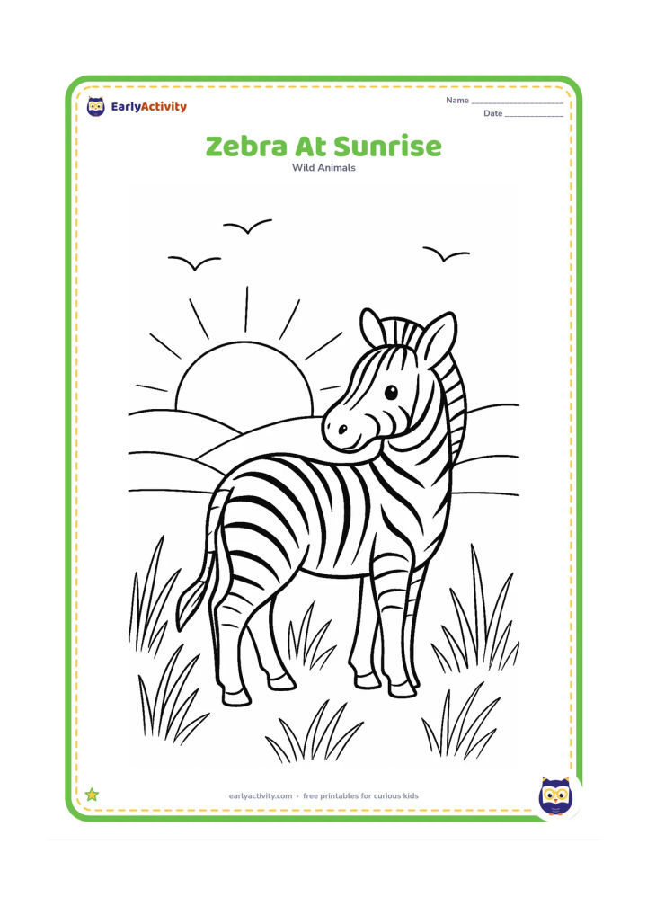 Colouring page: Draw one zebra looking over its shoulder at sunrise on a gently sloping plain. Include a large rising sun, layered hills, long grass and three distant birds.