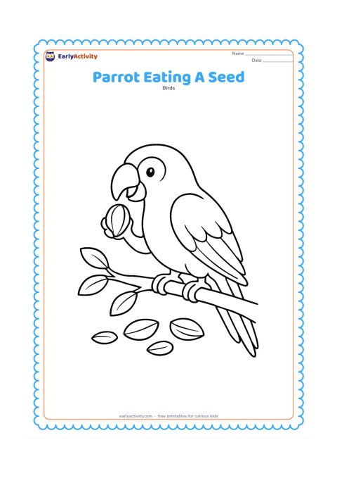 Colouring page: Draw a parrot holding a large seed in one foot while using its curved beak to open it. Place the bird on a branch with scattered leaves and a few fallen seed shells below.