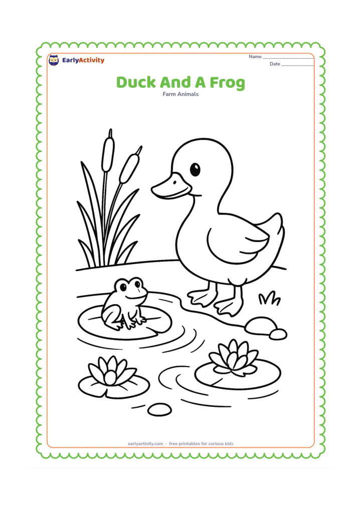 Colouring page: A duck stands at the edge of a pond while a small frog sits on a lily pad nearby. Add reeds, water ripples, a few rounded stones and two pond flowers.