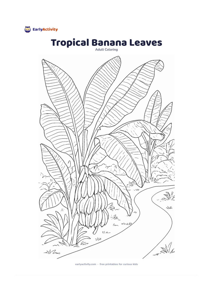 Colouring page: Arrange large banana leaves in several poses: upright, folded, torn, and curled, with a cluster of bananas partly visible behind them. Set the plants beside a simple tropical garden path.