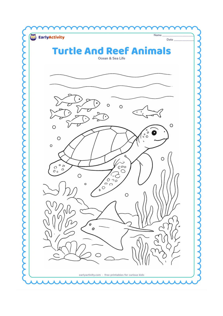 Colouring page: Draw a sea turtle gliding across a reef with a ray below, a school of fish behind, a small harmless shark in the distance, coral, and sea grass.