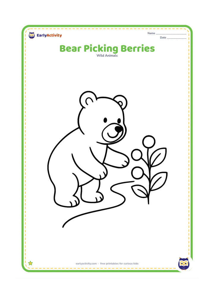 Colouring page: A friendly bear reaches toward a low berry bush with one paw. Show several large berries, two leaves, and a curved woodland path.