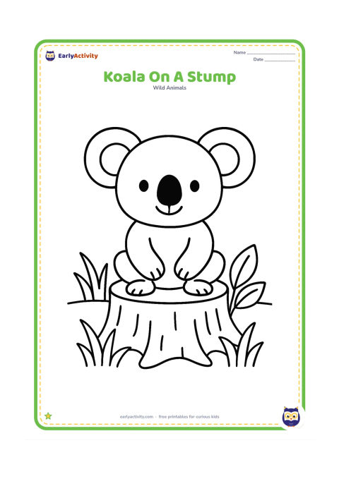 Colouring page: Draw a koala sitting on a wide tree stump with its paws resting on its knees. Add three large grass clumps and a few oversized leaves around the stump.