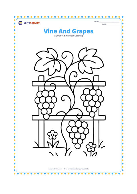 Colouring page: Draw one curling vine with large leaves and three bunches of grapes hanging from it. Place the vine against a simple garden trellis with a few ground flowers.