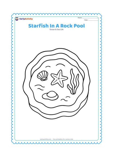 Colouring page: Draw a child-free rocky rock pool containing a starfish, a shell, seaweed and small water ripples, viewed from above.