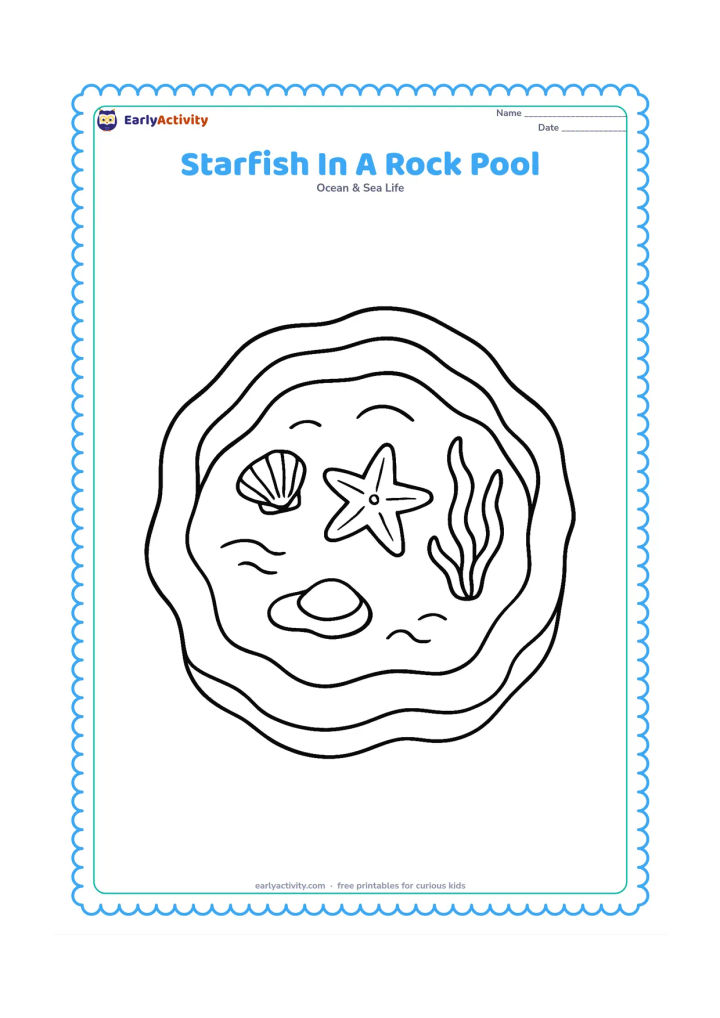 Colouring page: Draw a child-free rocky rock pool containing a starfish, a shell, seaweed and small water ripples, viewed from above.