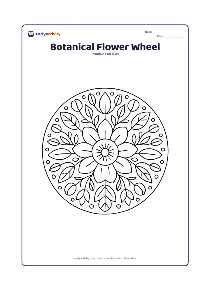 Colouring page: A detailed radial mandala showing a central flower cross-section surrounded by repeating rings of petals, leaves, buds, seed pods and small circles. Arrange each botanical part in…
