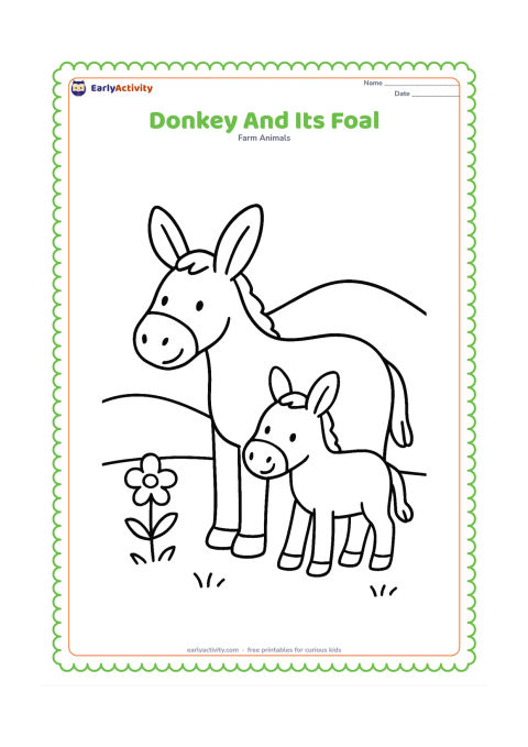Colouring page: A large donkey gently stands beside a smaller donkey foal in a grassy farm field. Add one simple flower and a low rounded hill in the background.